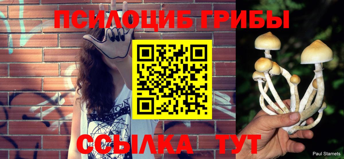 Галлюциногенные грибы мухоморы Маркс