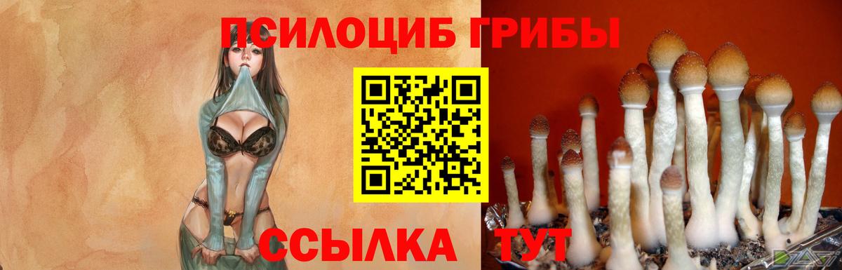 Псилоцибиновые грибы Psilocybe  Вход с VPN  купить закладку  Маркс 